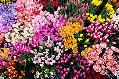 《GTA：罪恶都市》“终极复刻”版画质大修MOD发布