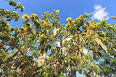 《战地6》BETA公测服务器地图 确认有港服