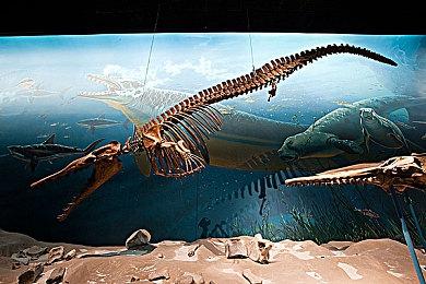 《方舟》开发商Wildcard工作室裁员 承诺不会影响新作开发